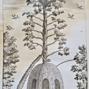 MAISON RUSTIQUE ou économie générale de tous les biens de campagne