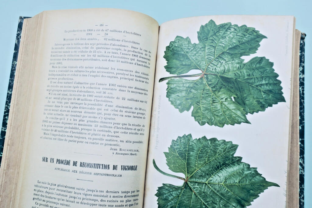 Le Progrès Agricole et Viticole 1902 – 1er semestre