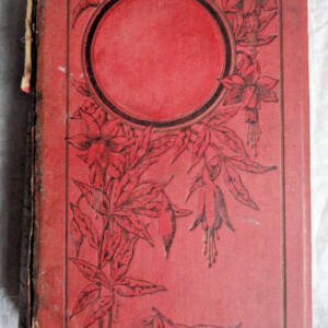 Guède La géologie. 151 figures intercalées dans le texte