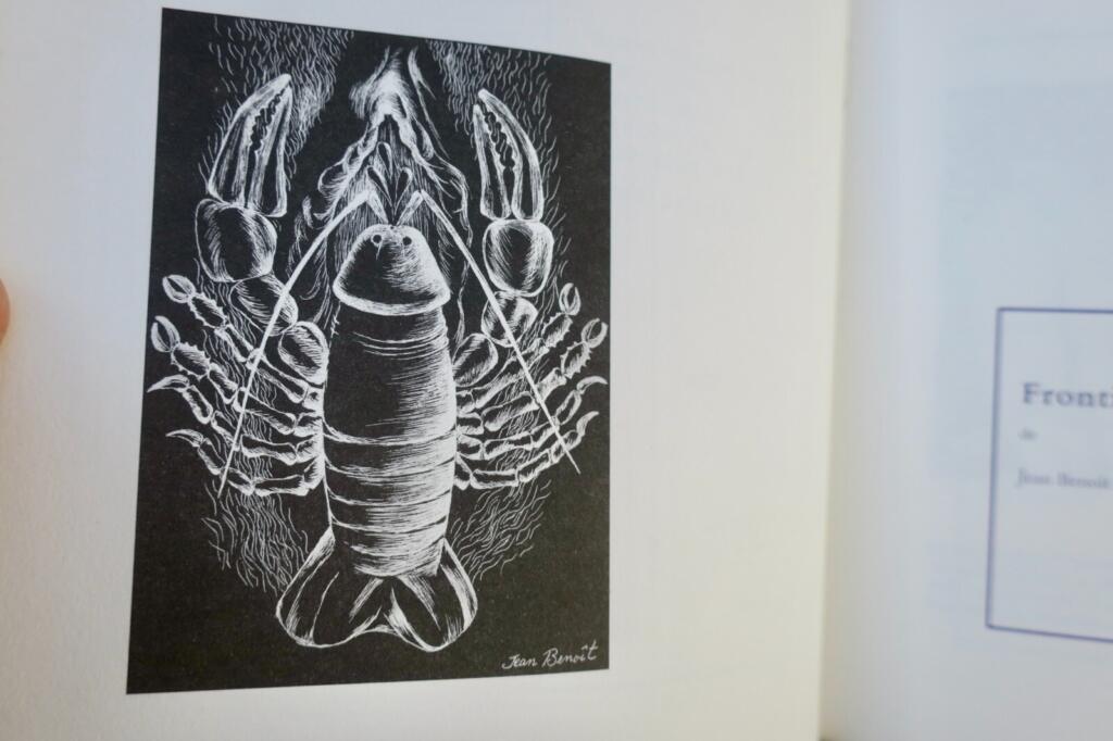 Surrealism and Understanding