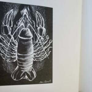 Surréalisme Petites pièces pouvant servir à approcher (même à comprendre) sinon