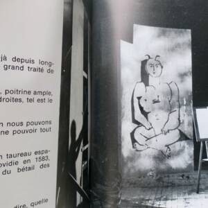 Picasso Portraits de Picasso, par Jacques Prévert