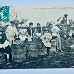 vendanges en Sologne groupe de vendangeurs