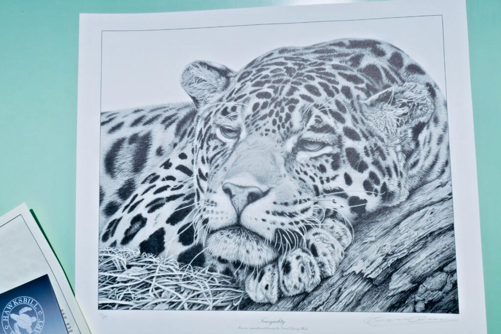 Limited Print by David Dancey-Wood