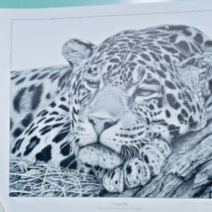 Tranquility – limited print by David Dancey-Wood