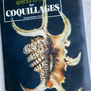 coquillages ANGELETTI Les coquillages