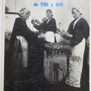 Histoire de la Bretagne et des pays celtiques