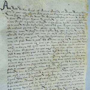 nîmes Nîmes protestant terre 1588 parchemin oliveraie