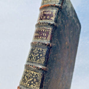 Pensées diverses écrites à un Docteur de Sorbonne à l'occasion de la Comète 1721