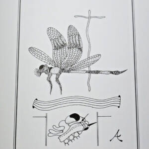 ARRABAL Fernando, CAMACHO Jorge. Rêves d'insectes