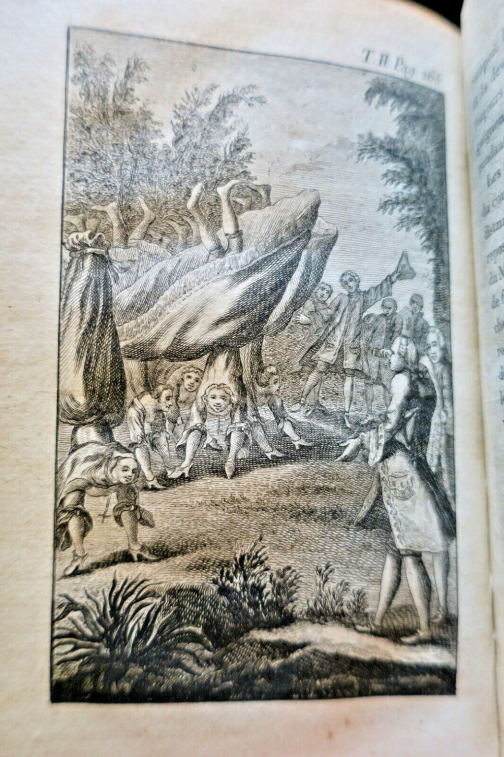 DIDEROT Werke von Denis Diderot 15/15 Jahr VIII