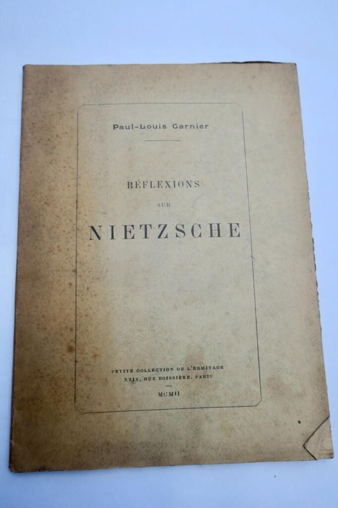 Philosophische Reflexionen über Nietzsche