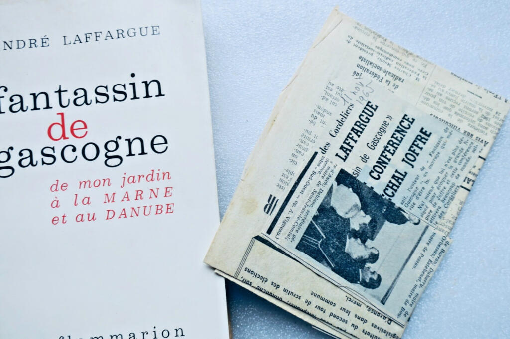 Insights from a Gascony Infantryman
