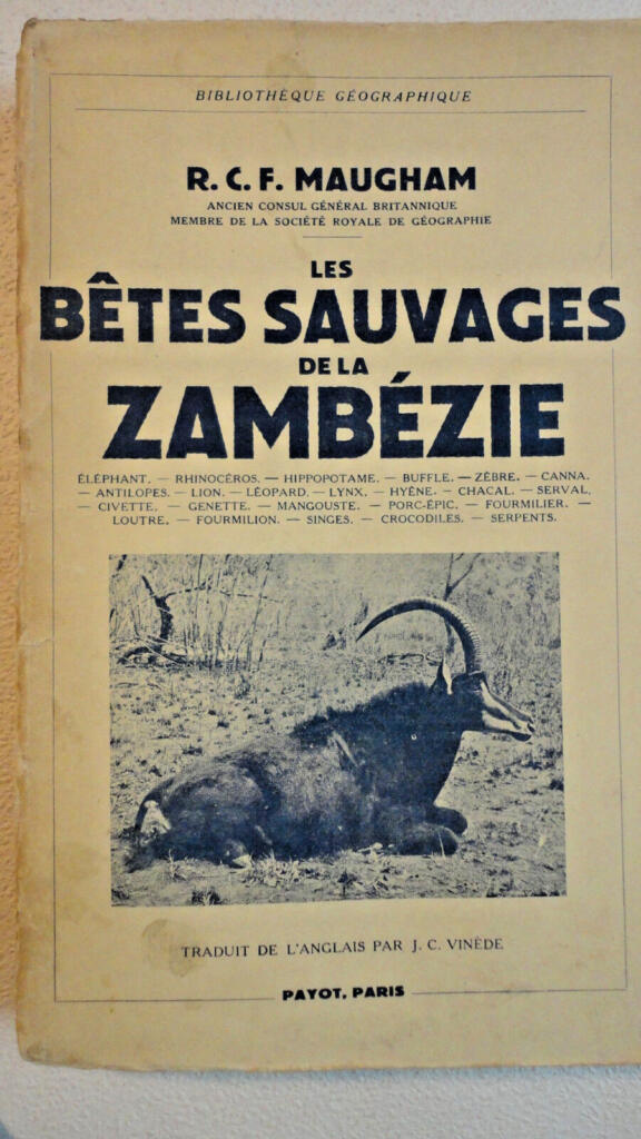 Wildlife exploration in Zambezie