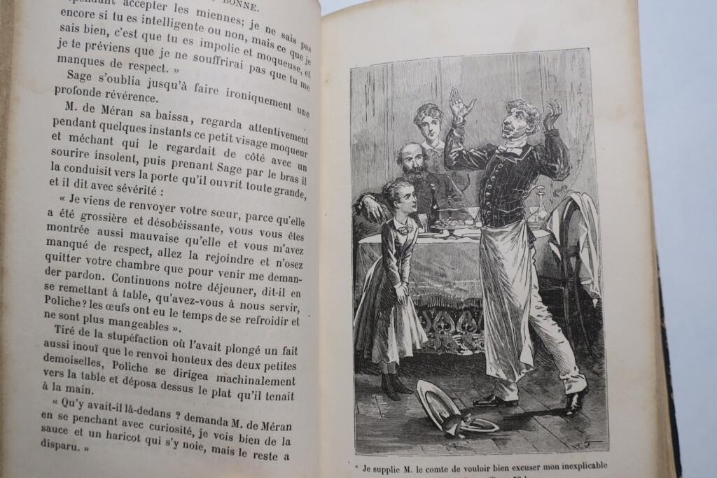 Eine bezaubernde Erzählung mit Illustrationen