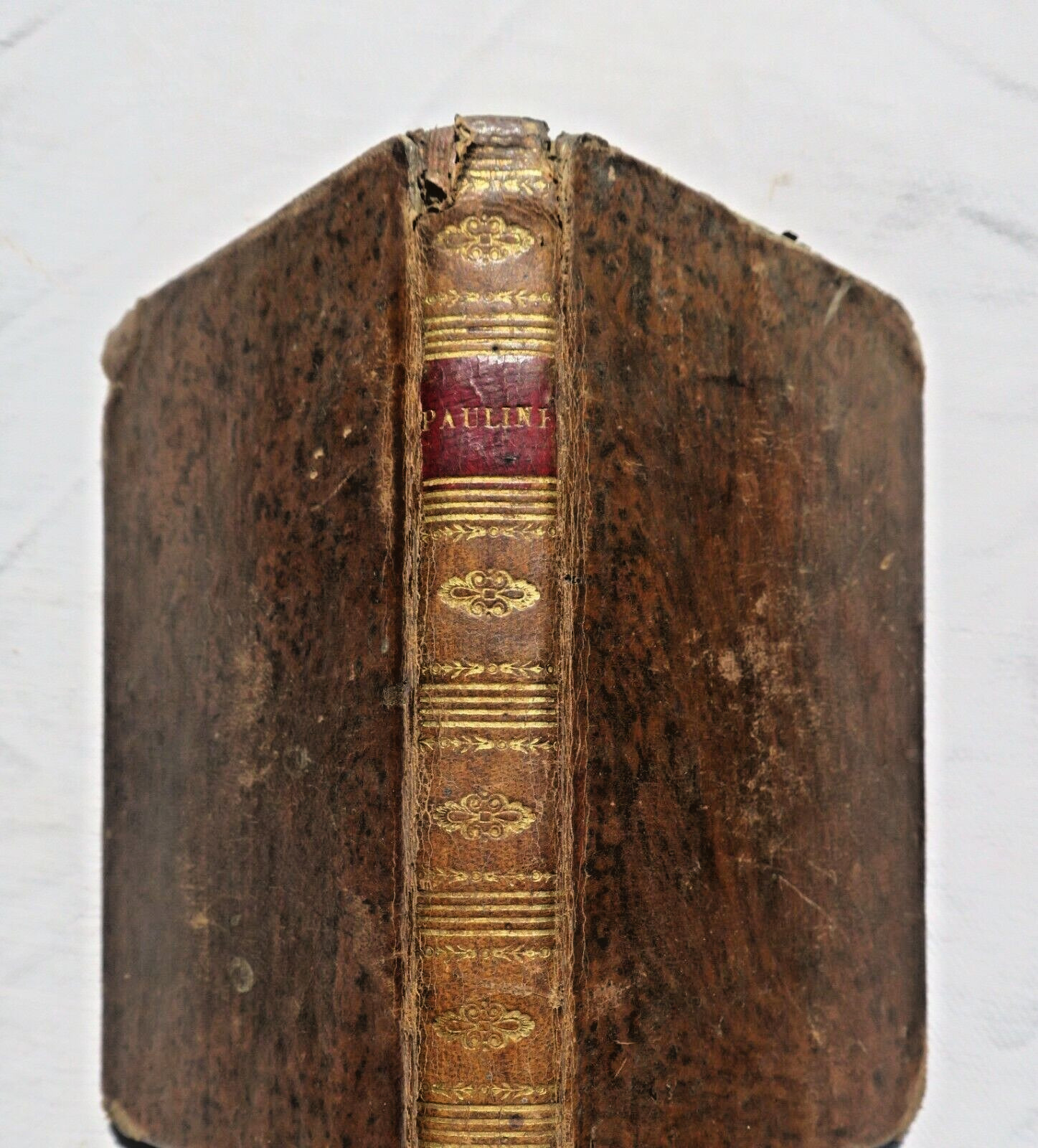 Pauline O La Piccola Ragazza Caritatevole 1828
