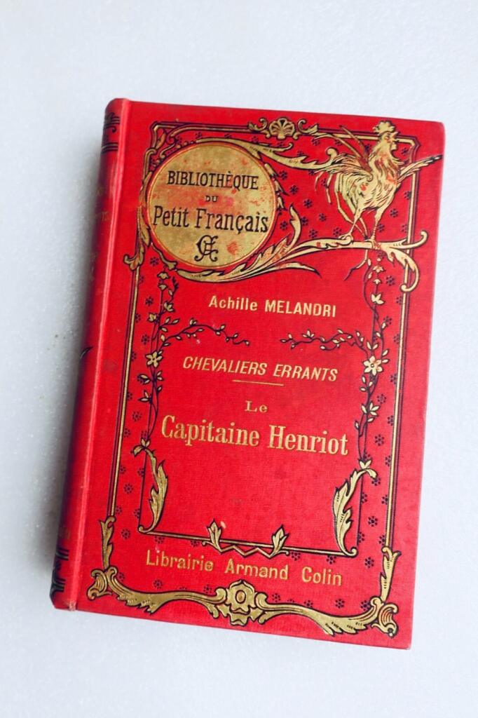 Errant Knights - Captain Henriot