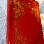LIVRE DELON C. HISTOIRE D UN LIVRE 1884