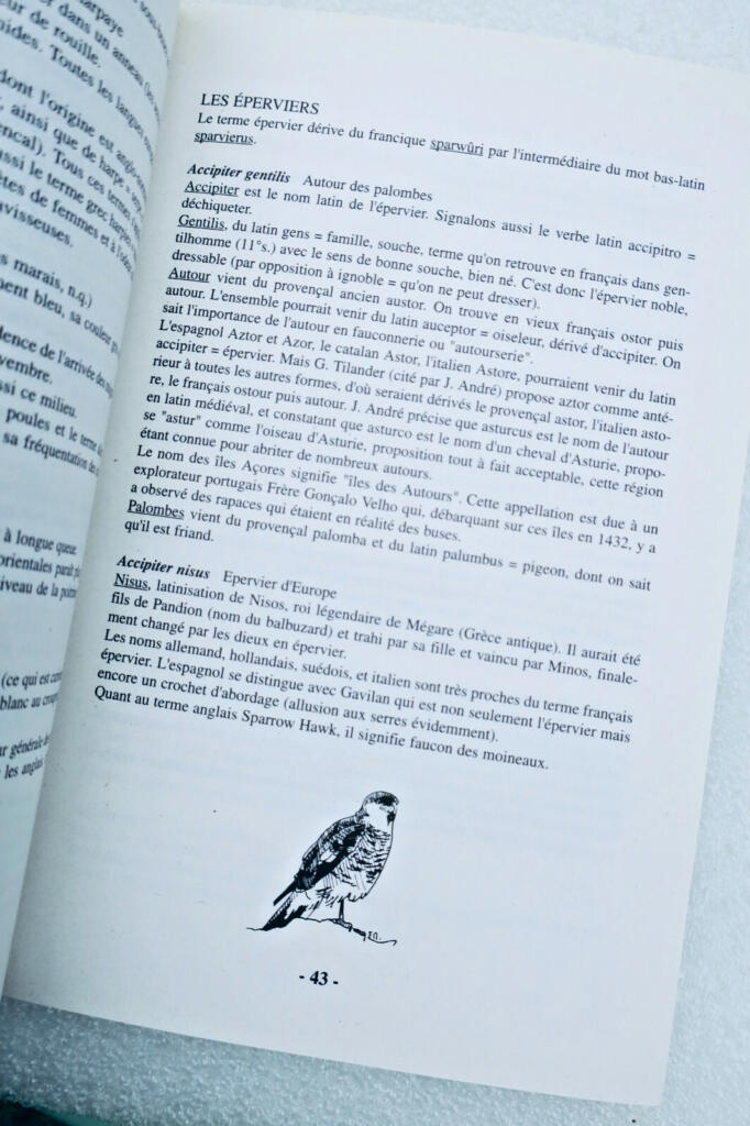 Oiseau étymologie des noms d&rsquo;oiseaux