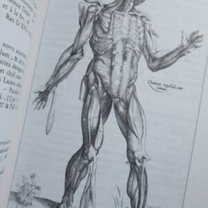 Médecine et Pharmacie, catalogue de la bibliothèque municipale de Toulouse