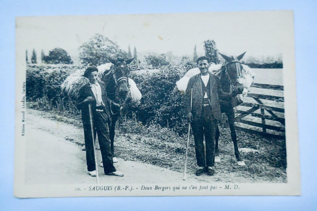 Sanguis deux bergers qui ne s&rsquo;en font pas