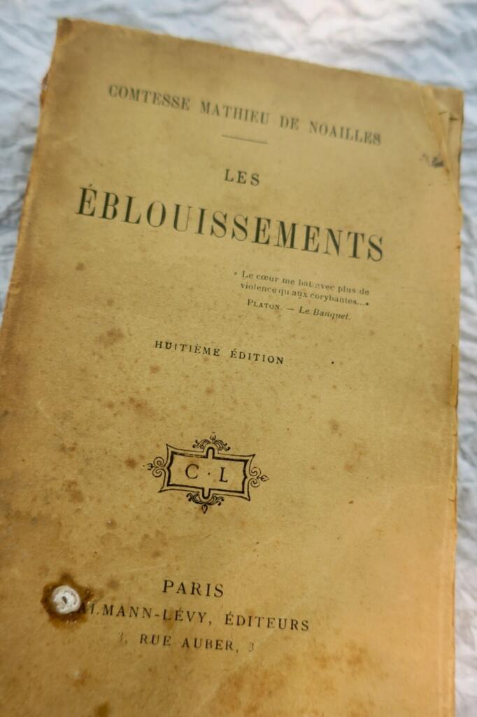 Literarische Erkundung der Gräfin Noailles