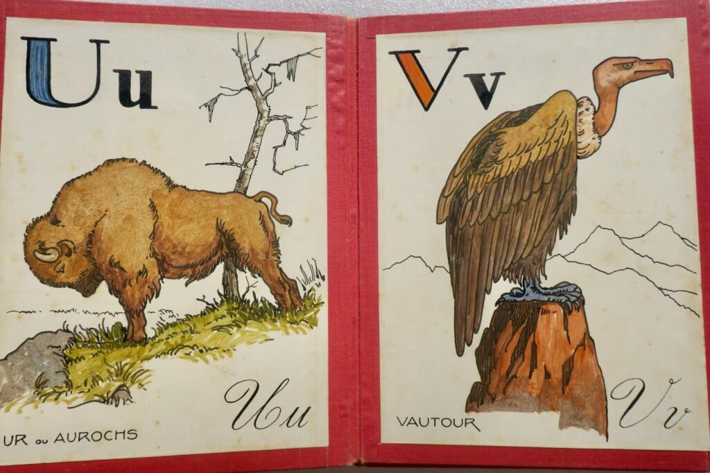 ABCédaire R. Hofer 1933 27 planches cartonnées coloriés à la main