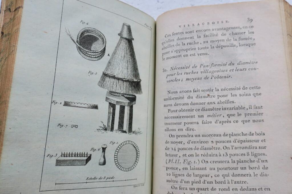 Landschaften und Bienenzucht-Handbuch