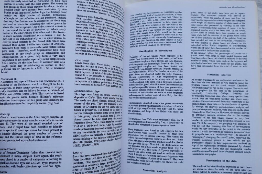 Landwirtschaftliche Veränderungen in Mesopotamien (8.–6. Jahrtausend v. Chr.)