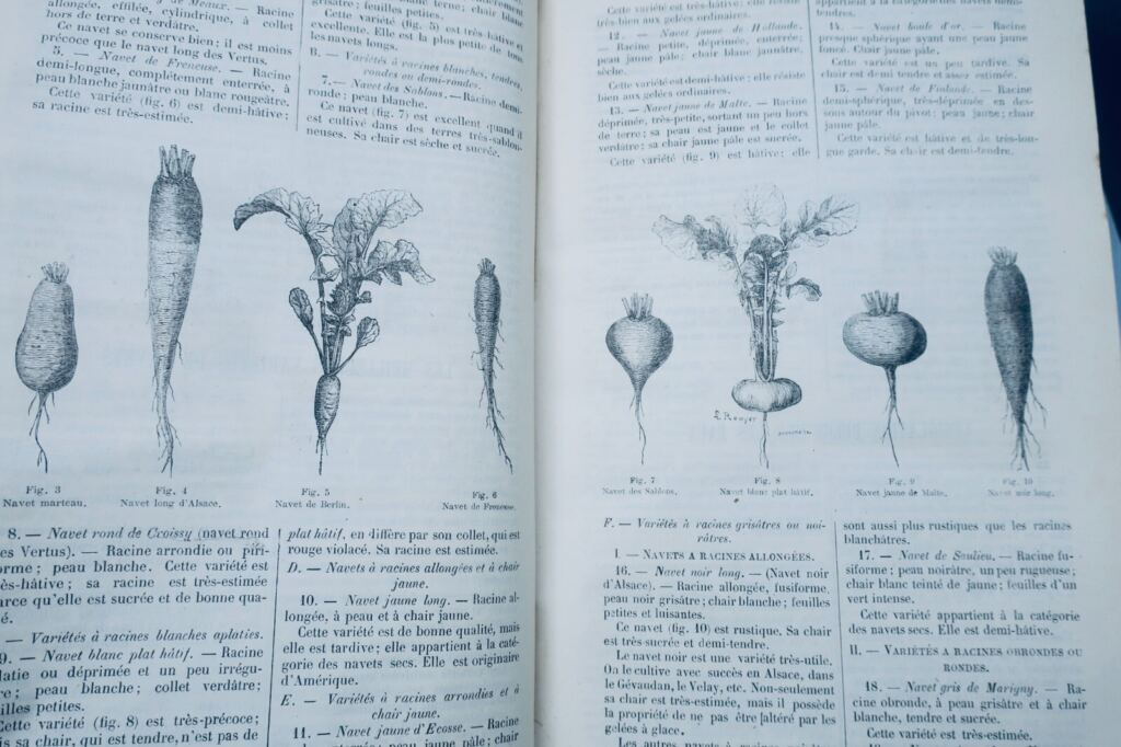 Practical Agriculture Journal