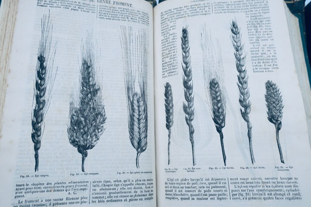 Agriculture JOURNAL D’AGRICULTURE PRATIQUE