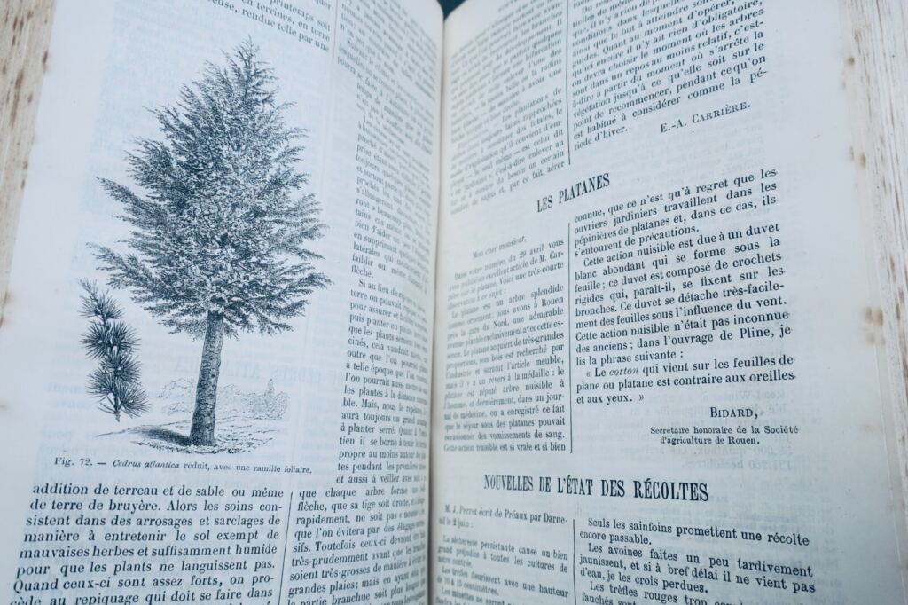 Practical Agriculture Journal