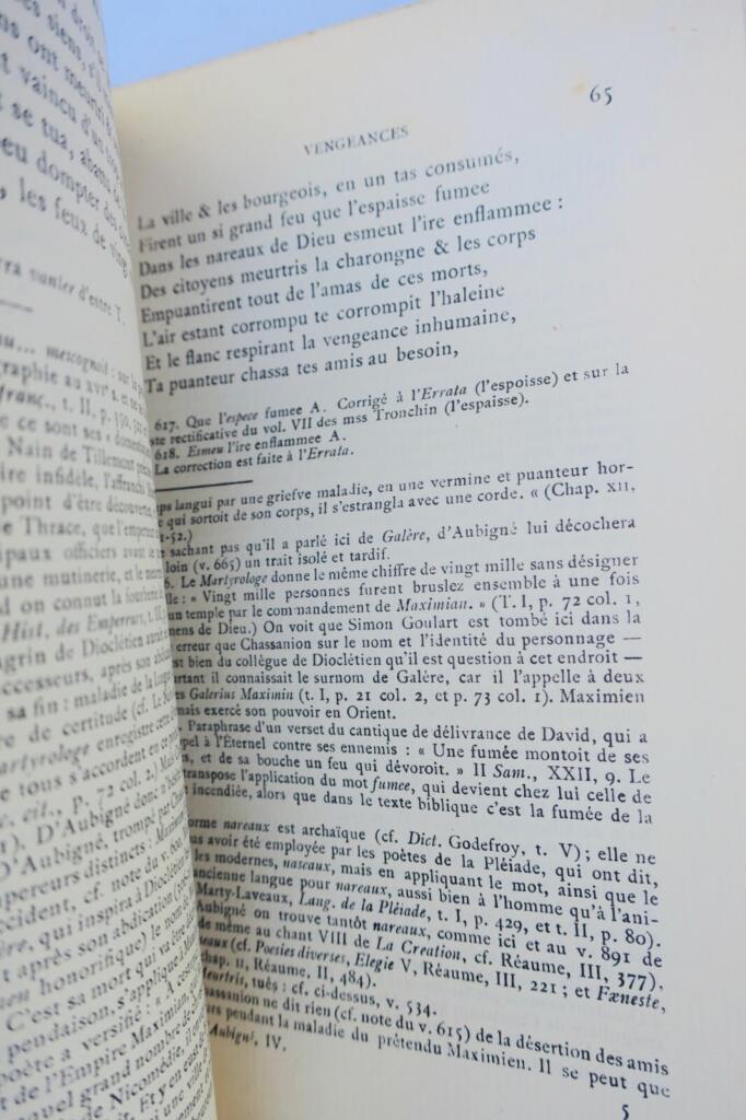 Kritische Ausgabe der Renaissance-Epik
