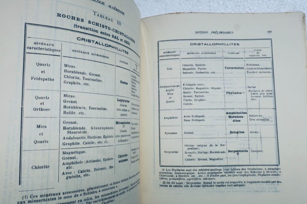 Algerian and North African Geology Since 1830