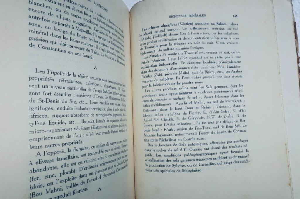 Algerian and North African Geology Since 1830