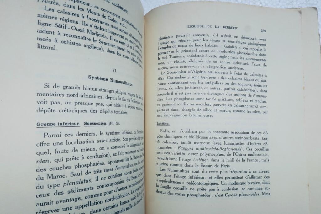 Algerian and North African Geology Since 1830