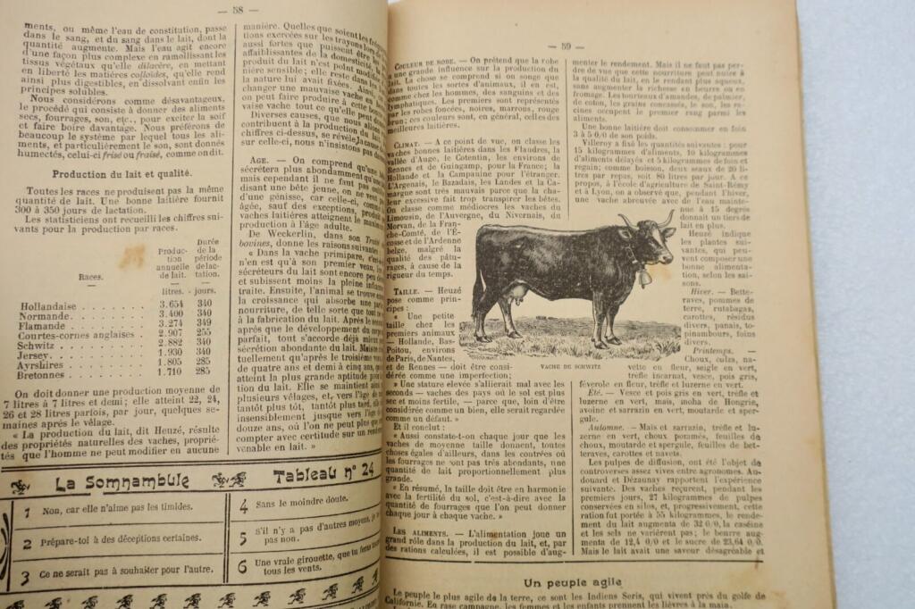 Jährliches Almanach von La Dépêche