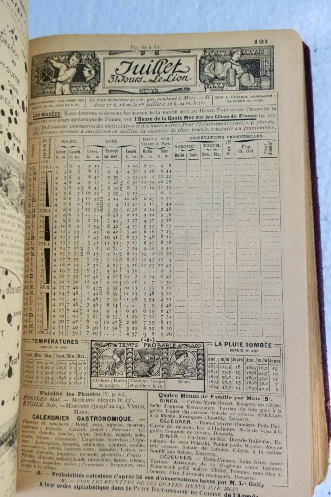 迷人的1901年年鉴
