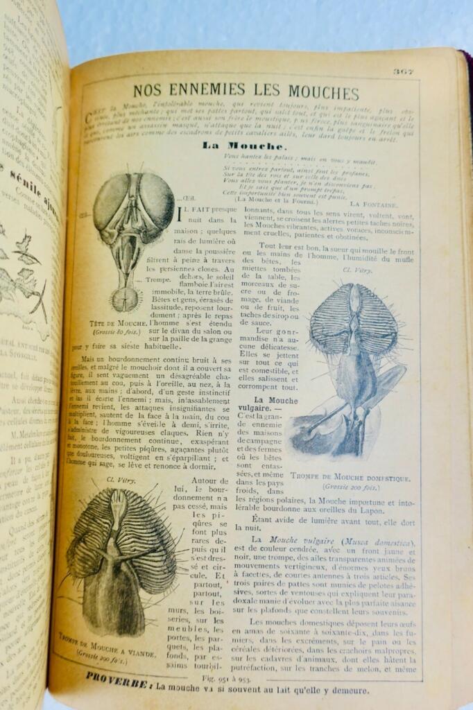 迷人的1901年年鉴