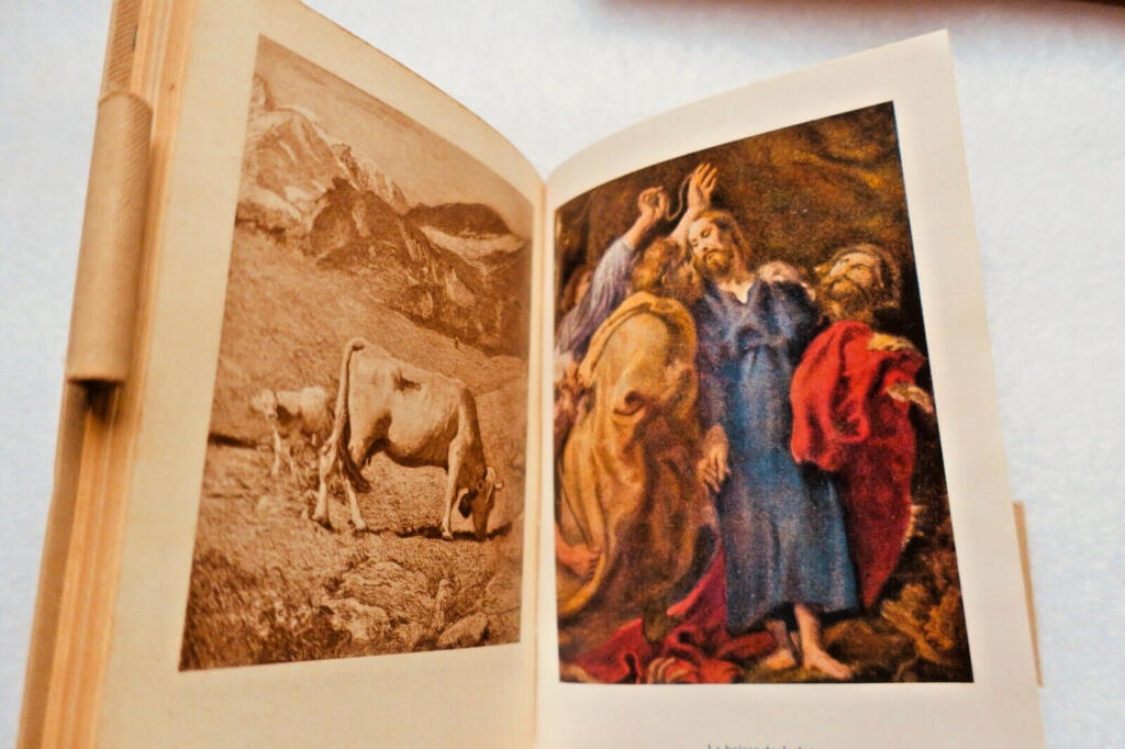 ALMANACH PESTALOZZI AGENDA DE POCHE DES ECOLIERS SUISSES