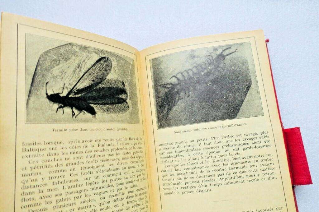ALMANACH PESTALOZZI AGENDA DE POCHE DES ECOLIERS SUISSES