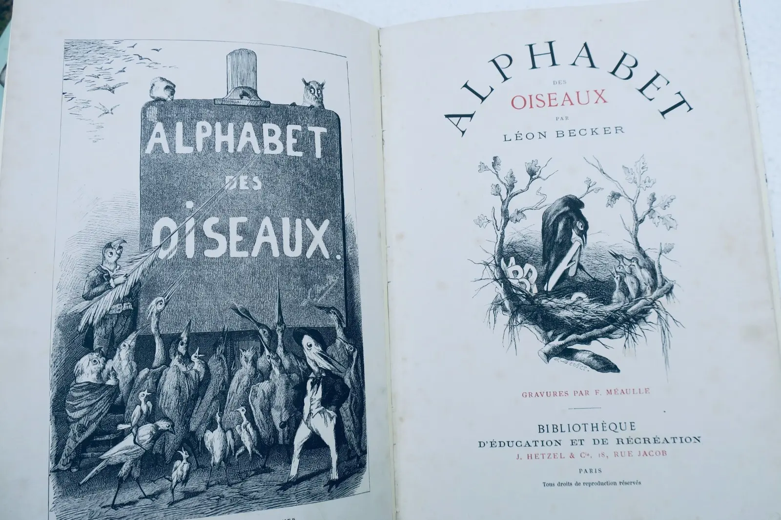 Alphabet des oiseaux Hetzel illustré par Méaulles – Image 4