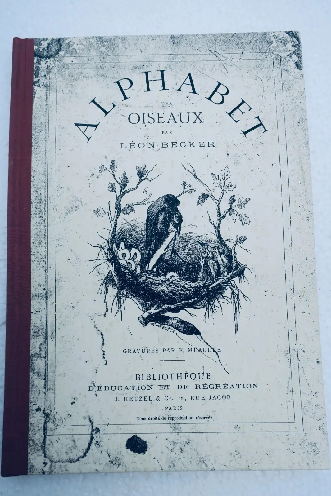 Alphabet des oiseaux Hetzel illustré par Méaulles – Image 3