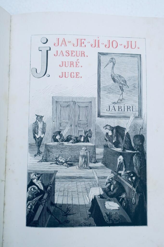 Alphabet des oiseaux Hetzel illustré par Méaulles
