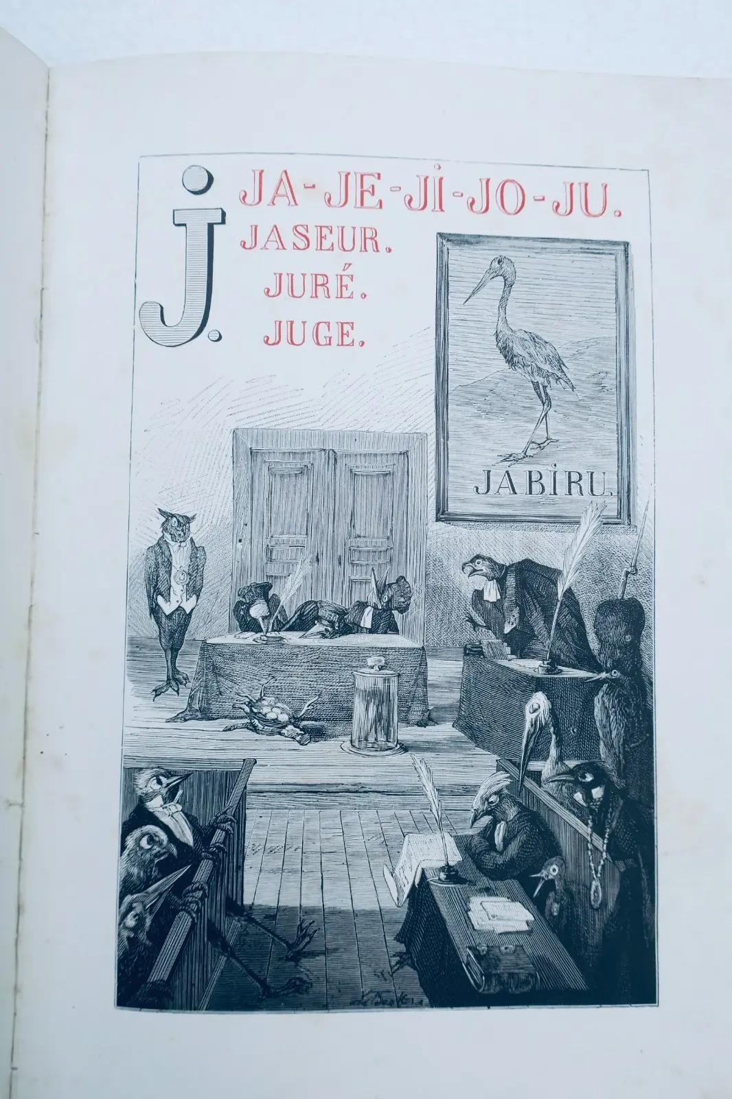 Alphabet des oiseaux Hetzel illustré par Méaulles – Image 6
