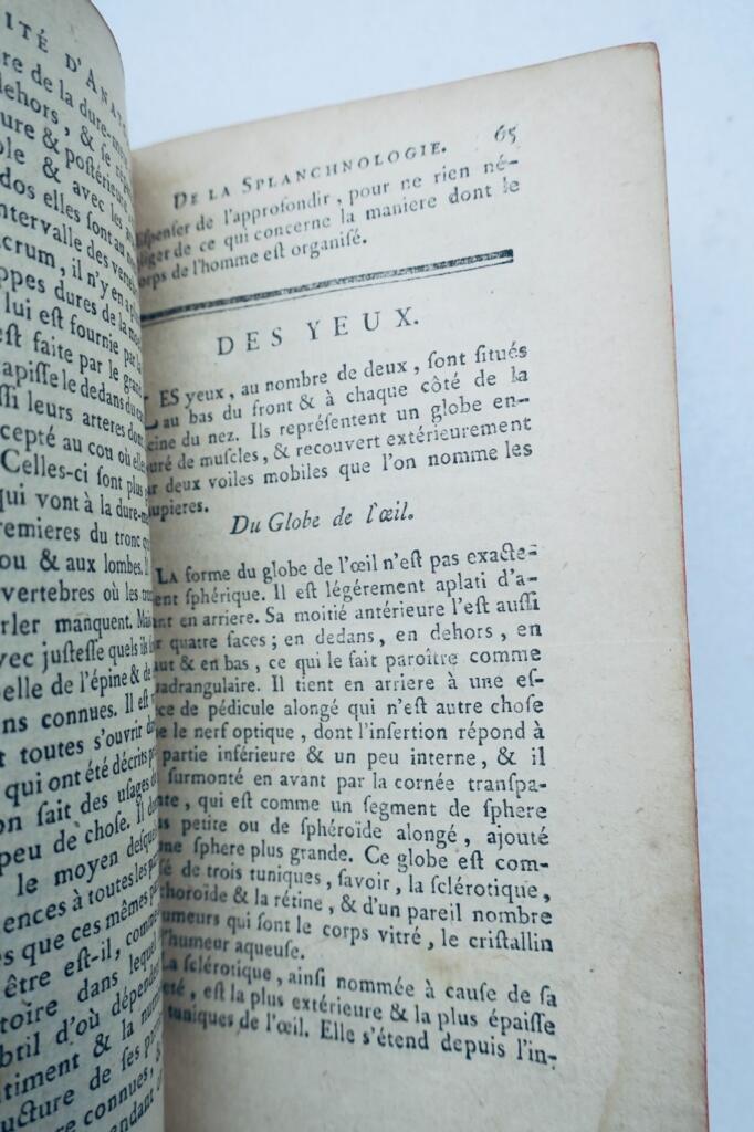Vollständiger Anatomie-Traktat von 1777