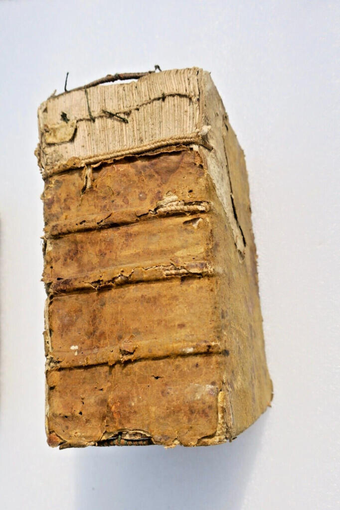 Cujas' Classical Legal Observations and Emendations