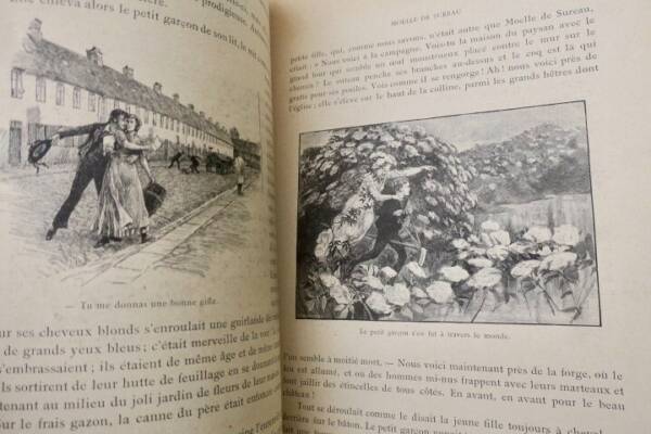 ANDERSEN NOUVEAUX la reine des neiges ill-Tegner