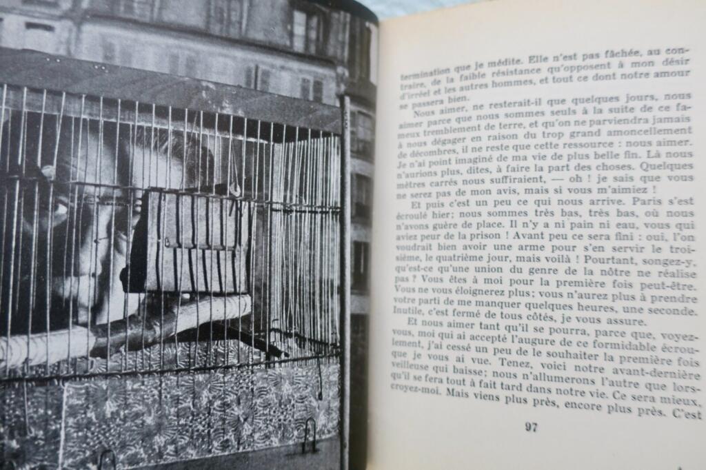 Wichtige Arbeit von André Breton