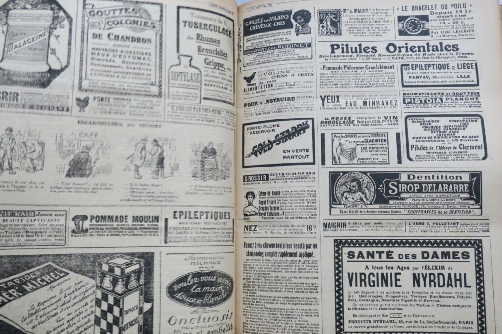 Politische und Literarische Annalen von 1919